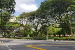 20190114_103235