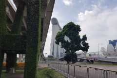 20190115_111616