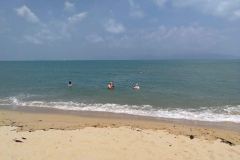 IMG-20190124-WA0036