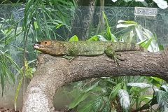 20190129_151938